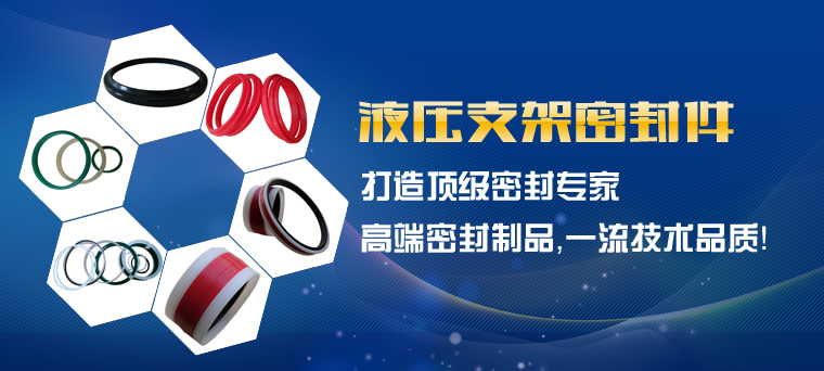 液壓支架密封件 液壓支架密封件